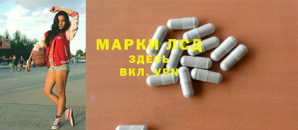 соль ск Дмитриев