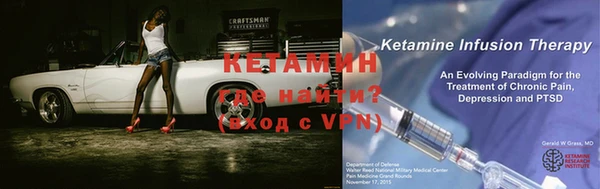 соль ск Дмитриев