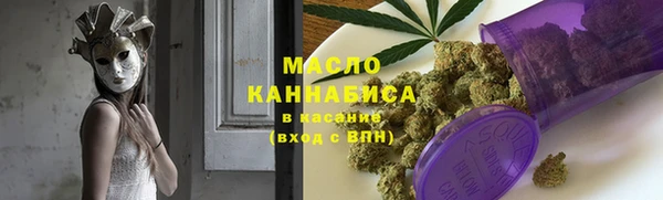 соль ск Дмитриев