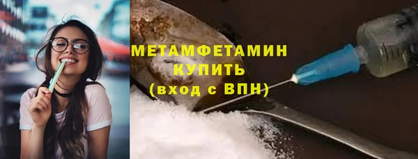 прущие грибы Костерёво