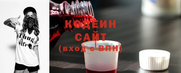 соль ск Дмитриев