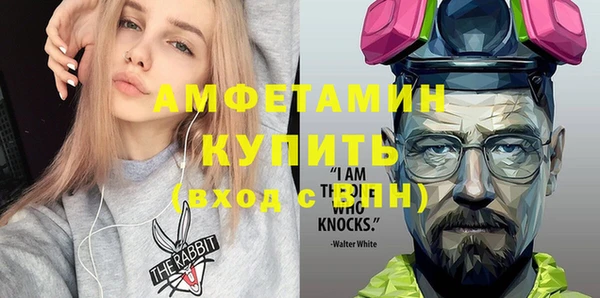 соль ск Дмитриев