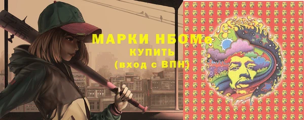 соль ск Дмитриев