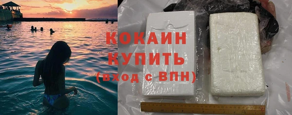 соль ск Дмитриев