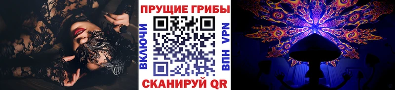 закладка  Ивантеевка  Псилоцибиновые грибы Cubensis 