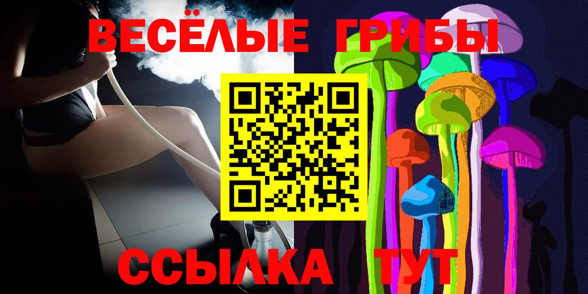 Псилоцибиновые грибы Psilocybe Ивантеевка