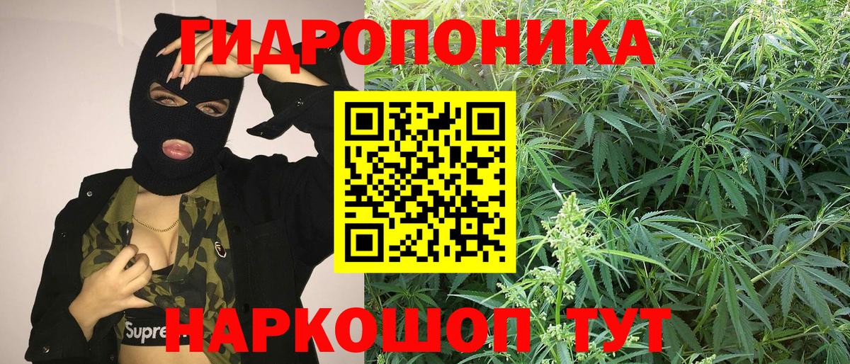 Конопля THC 21% Ивантеевка